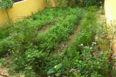 garden3