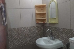 toilet2